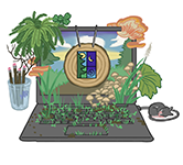 laptop with ferns, mushrooms and seedlings growing out of it with a mouse nearby and the outdoor school logo