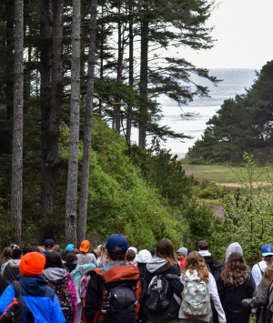 Group of students walk next to a tree line of the forest with the ocean in the distance