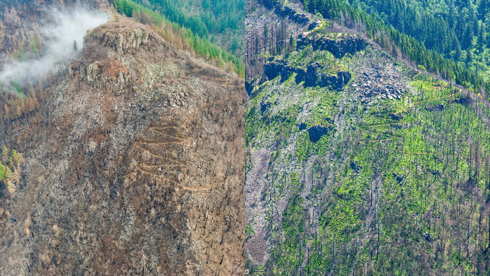 a picture of the mountainside after eagle creek fire