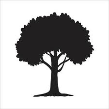 tree vector