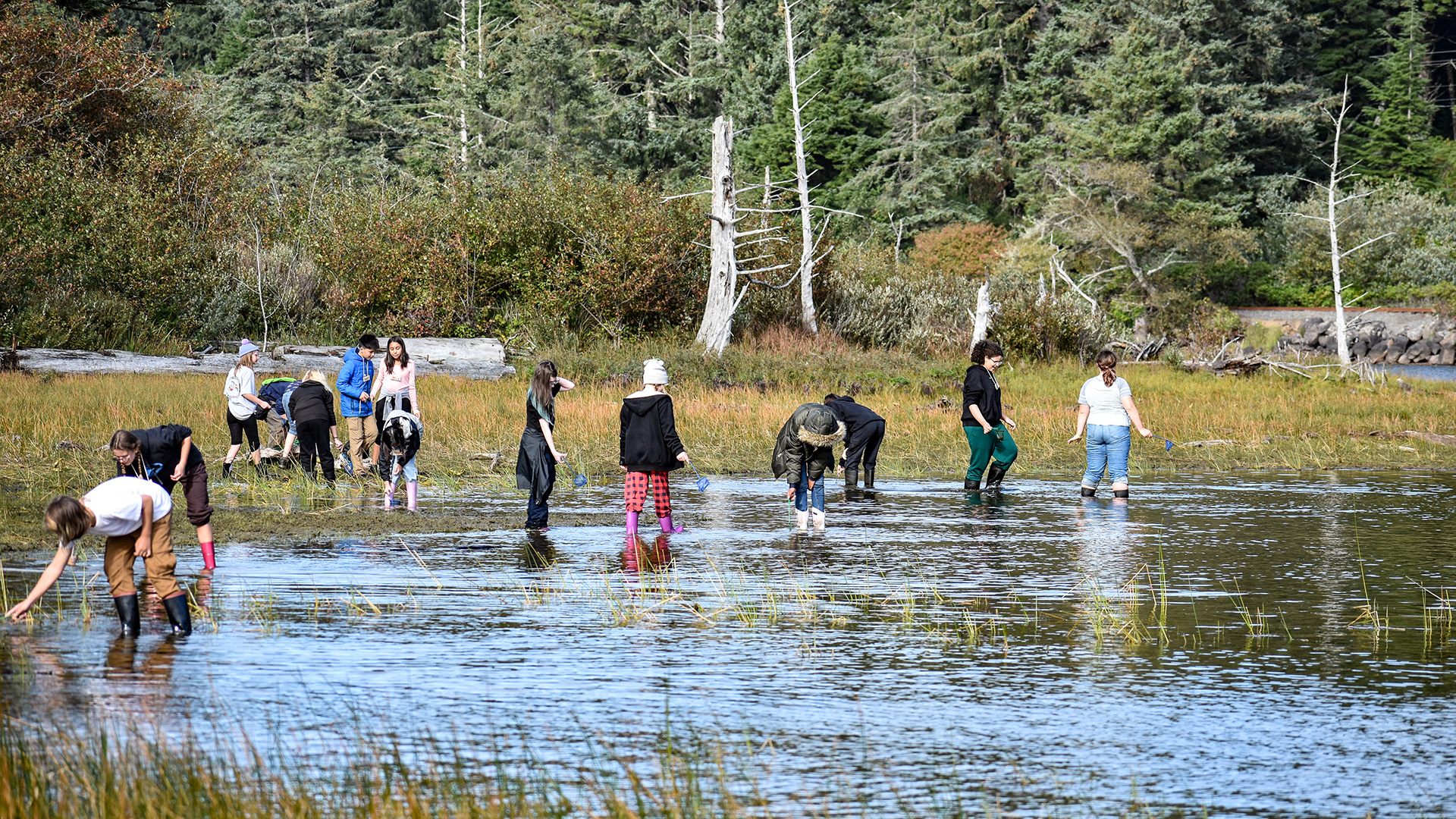 students wade in a marsh at camp magruder