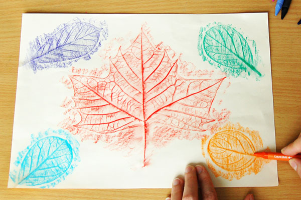 a picutre of a leaf rubbing