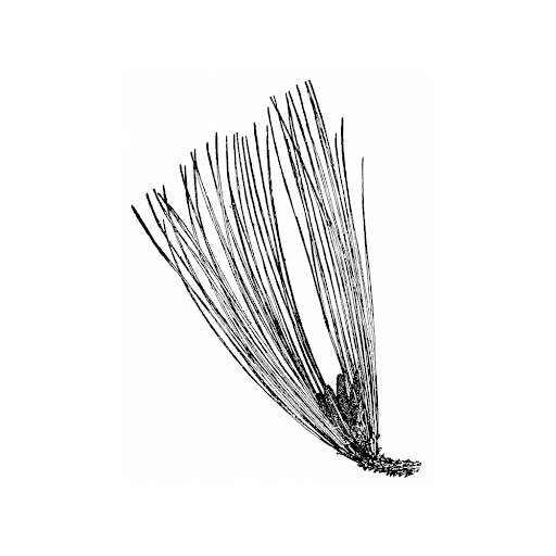 a drawing of a needle example