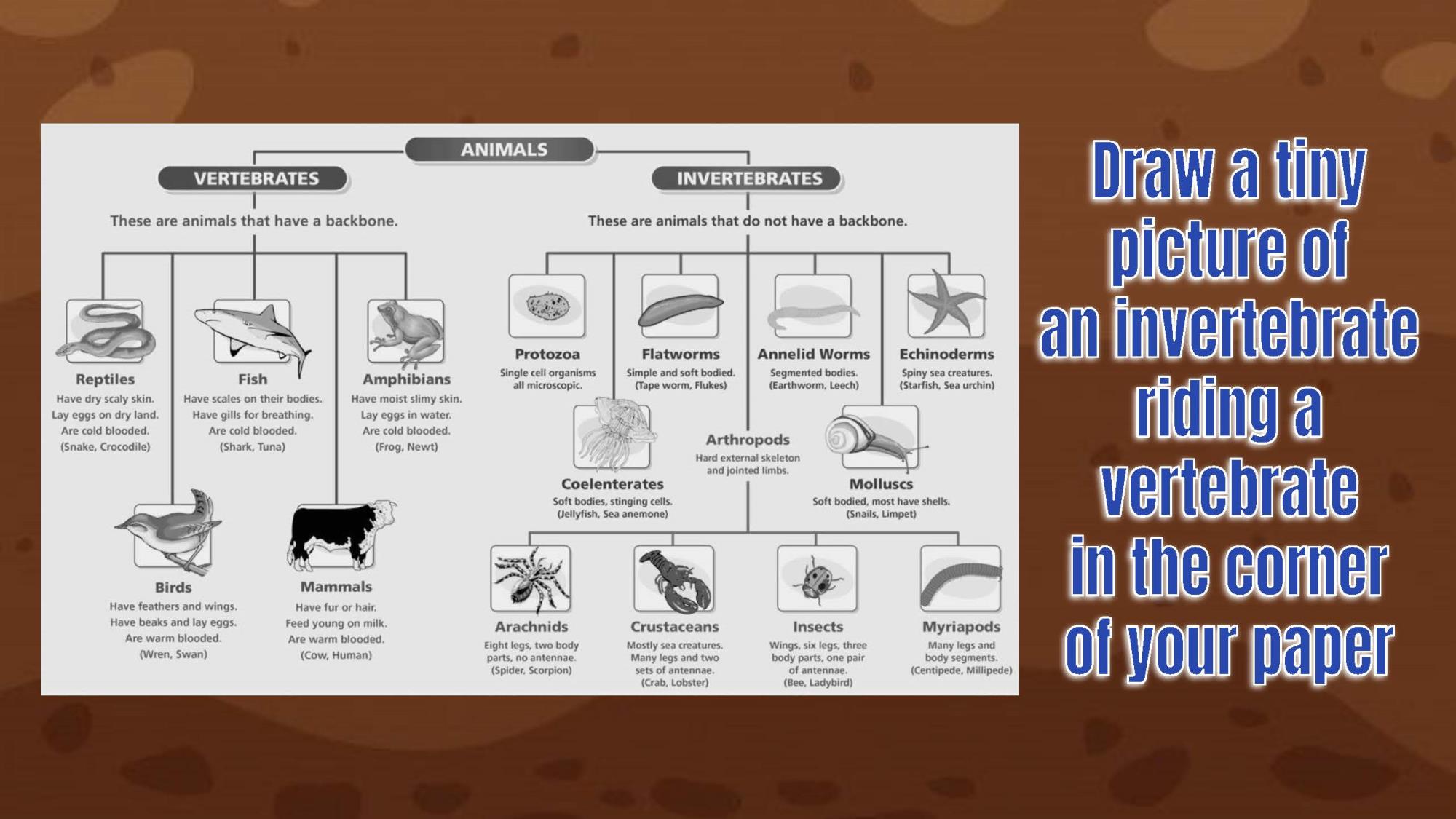 draw a picture of an invertebrate riding a vertebrate