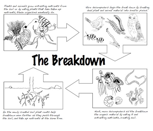 decomposer breakdown images