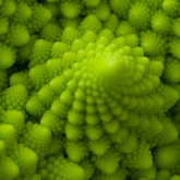 fractal plant