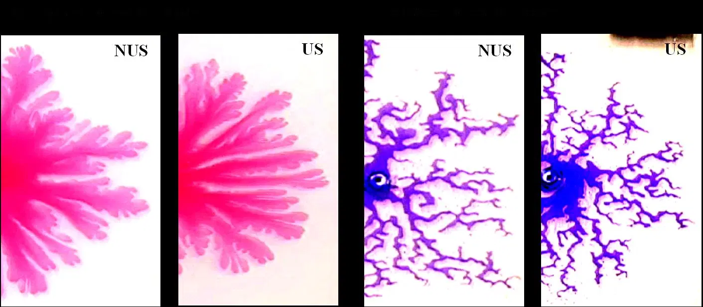 images of fractals paintings students have created