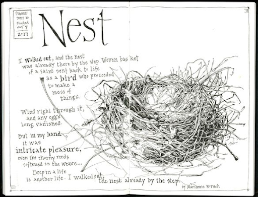 nest