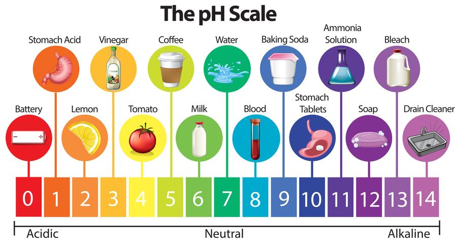 ph scale Acidic 0, Neutral 7, Alkaline 14: Battery 0, stomach acid 1, lemon 2, vinegar 3, tomato 4, coffee 5, milk 6, water 7, blood 8, baking soda 9, stomach tablets 10, ammonia solution 11, soap 12, bleach 13, drain cleaner 14