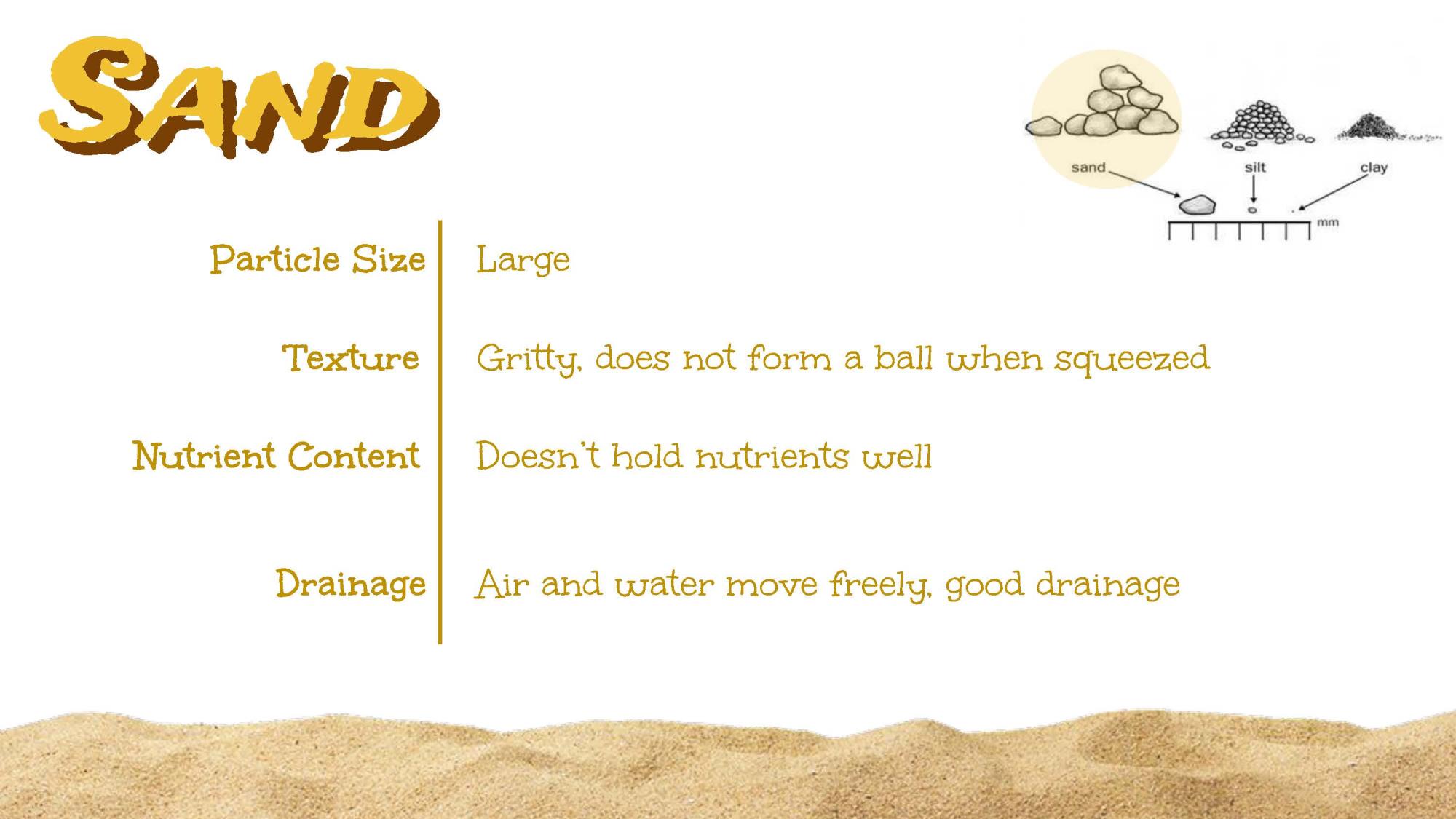 Soil Types sand