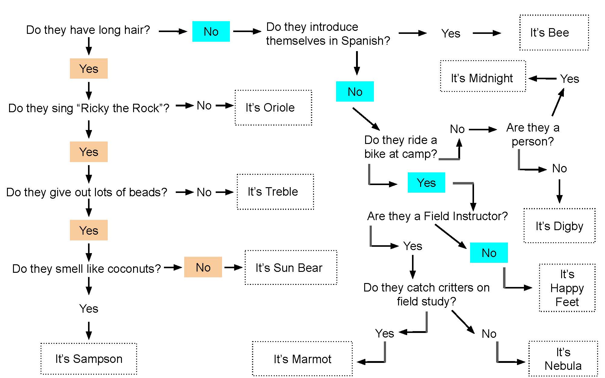 Magruder staff dichotomous key example