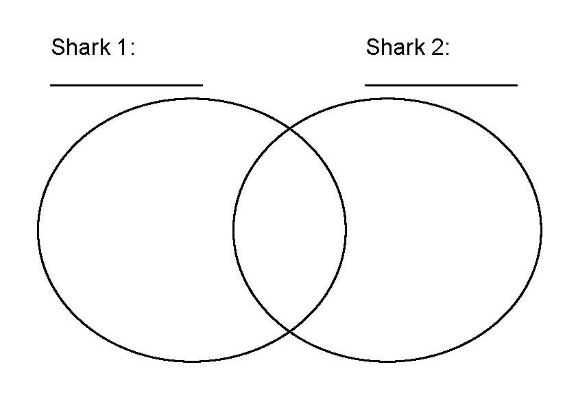 circles for shark Venn diagram example