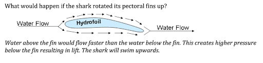 diagram demonstrating water flow and hydrofoil