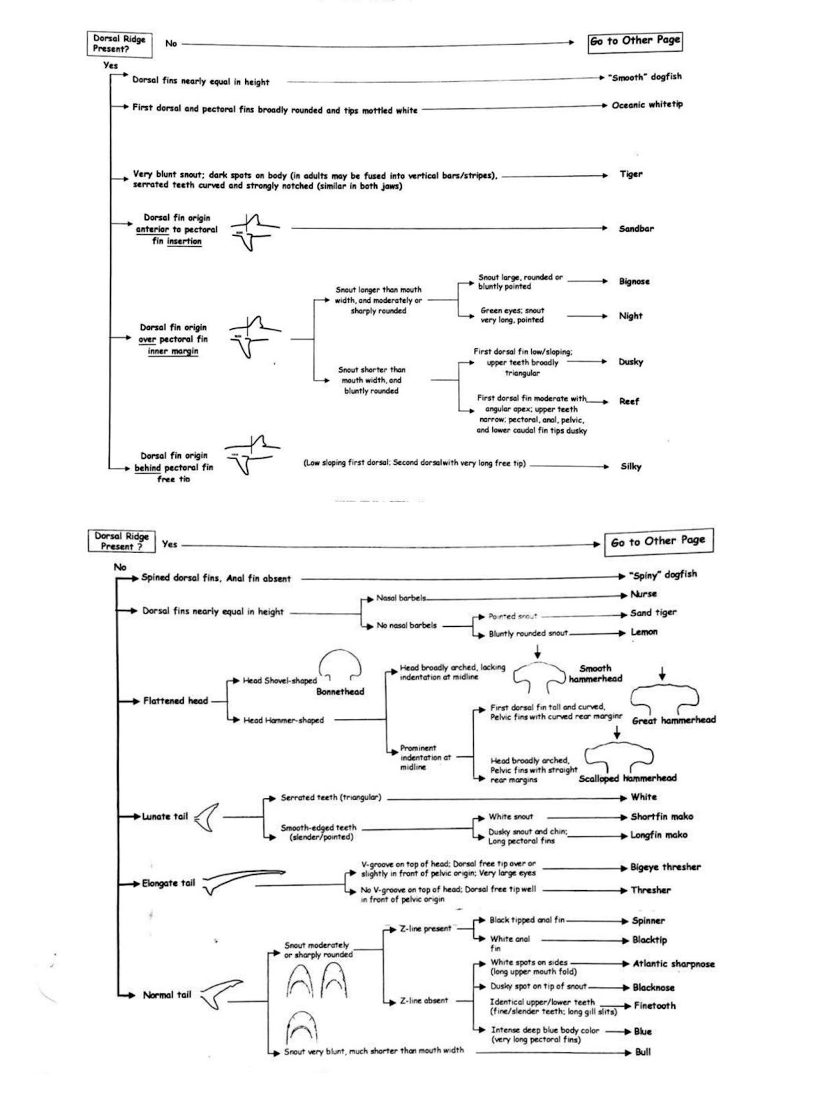 Dichotomous Key diagram 1 and 2