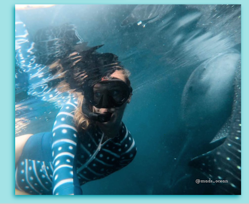 woman scuba diving near a shark