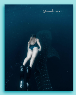 woman scuba diving over shark