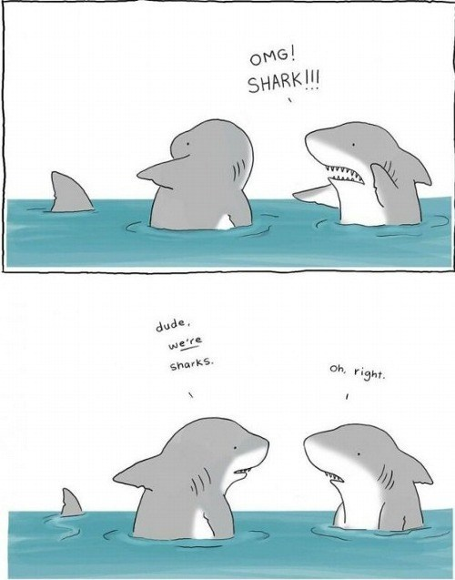 sharks talking, Shark3 "OMG Sharks!" shark2 "dude we're sharks", shark 1: "oh right"