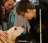 a student meets a guide dog_166x150px