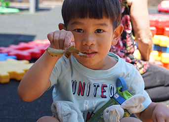 child shows a seed and leaf