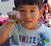 child shows a seed and leaf