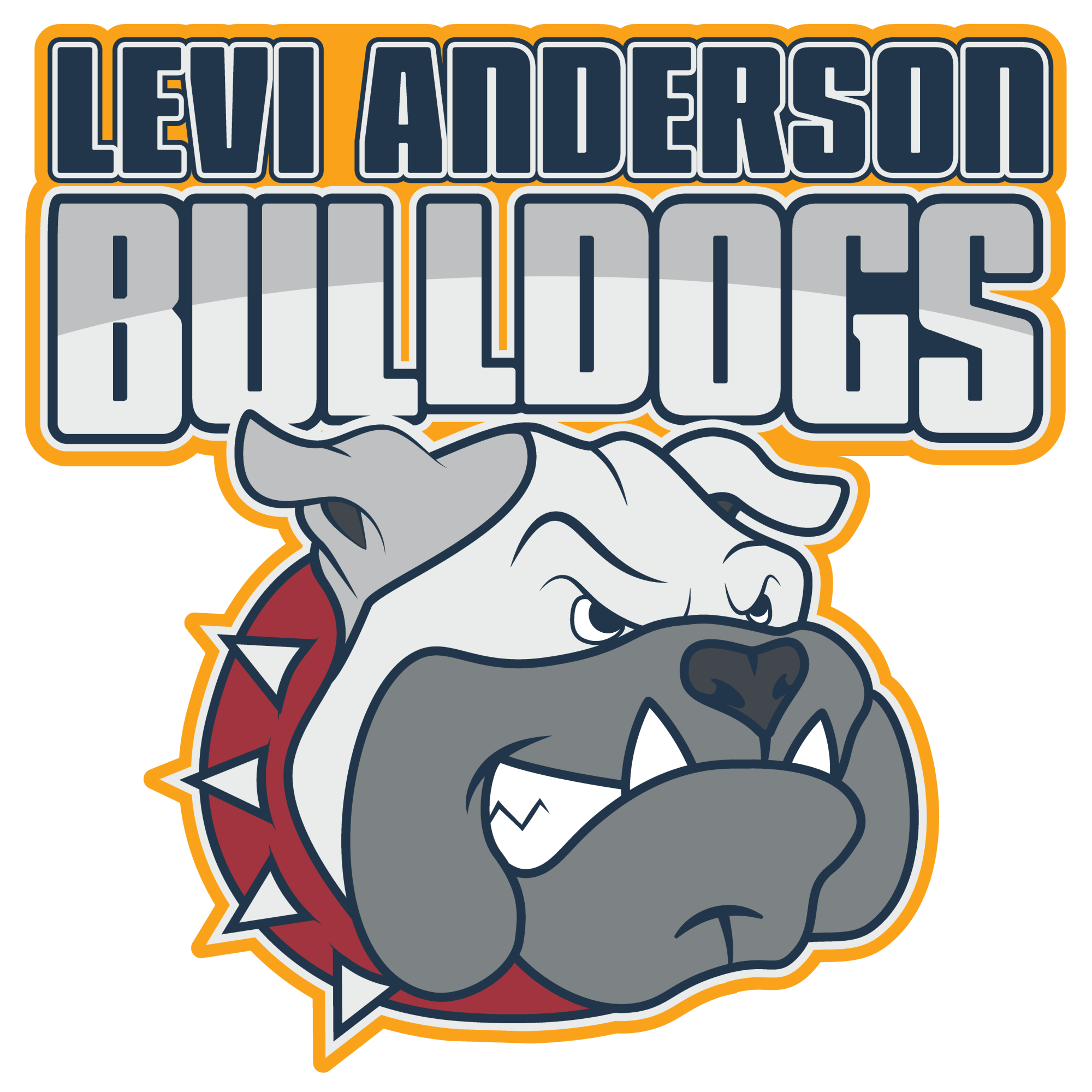 Levi Anderson Academy Mascot and Name